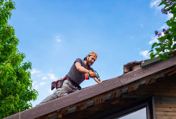 Best Roof Installation  in Ridgeway, AK